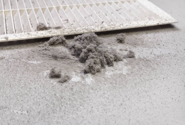 Best Local Air Duct Cleaning Services  in Noel, MO