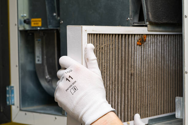 Best Air Duct Mold Removal  in Noel, MO