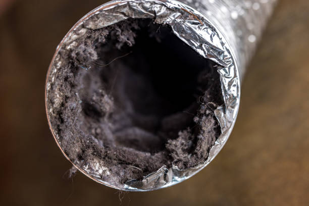 Best Air Duct Cleaning Company Near Me  in Noel, MO
