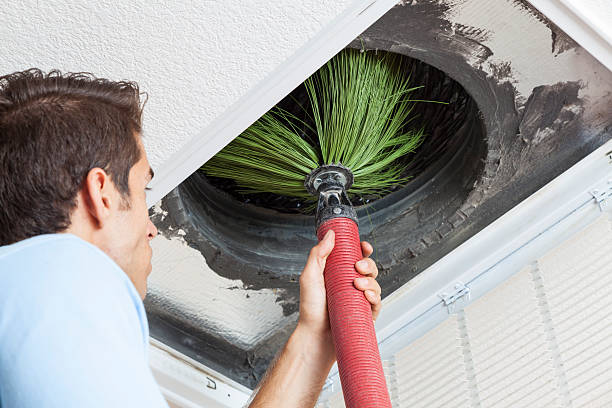 Best Ventilation Cleaning Services  in Noel, MO